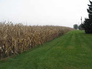 Property photo 4 - 40 Acres offered in 1 TractLand Auction